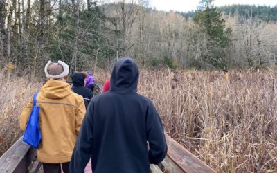 McLane Salmon Spawning Field Experience