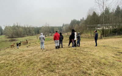 Outdoor Education at Nature Nurtures Farm