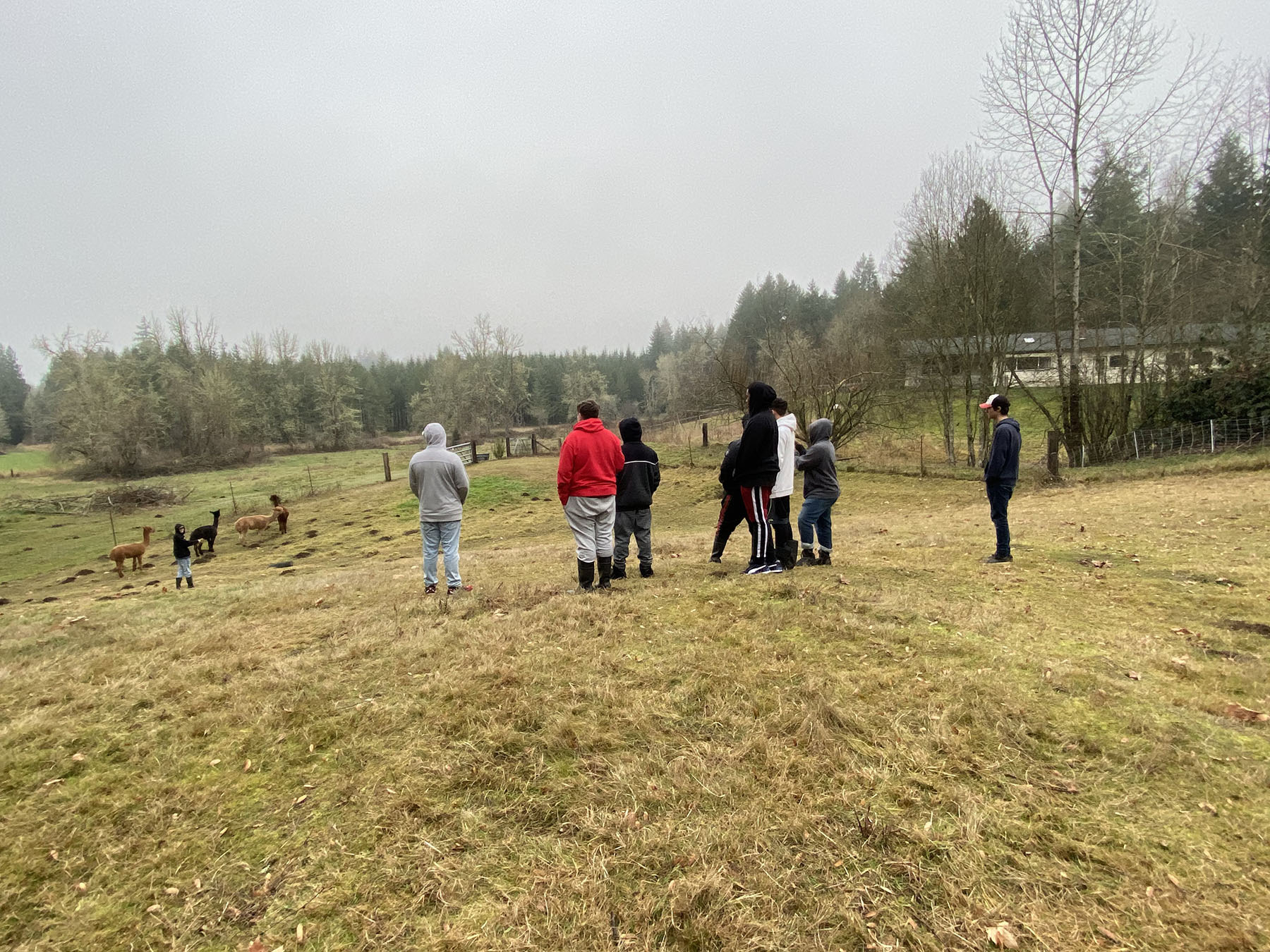 Outdoor Education at Nature Nurtures Farm