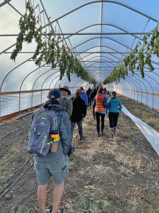 Touring the greenhouse for hemp