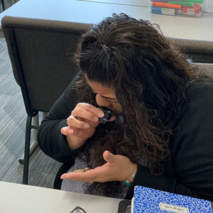 Teachers explore mushrooms in a science investigation that exemplified integration.