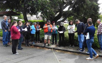 Solutions Oriented Learning Storylines: Forest Carbon Sequestration Workshop