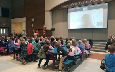 STEM Storylines breathe new life into existing science project materials