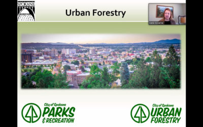 Solutions Oriented Learning Storylines: Urban Forestry writing workshop