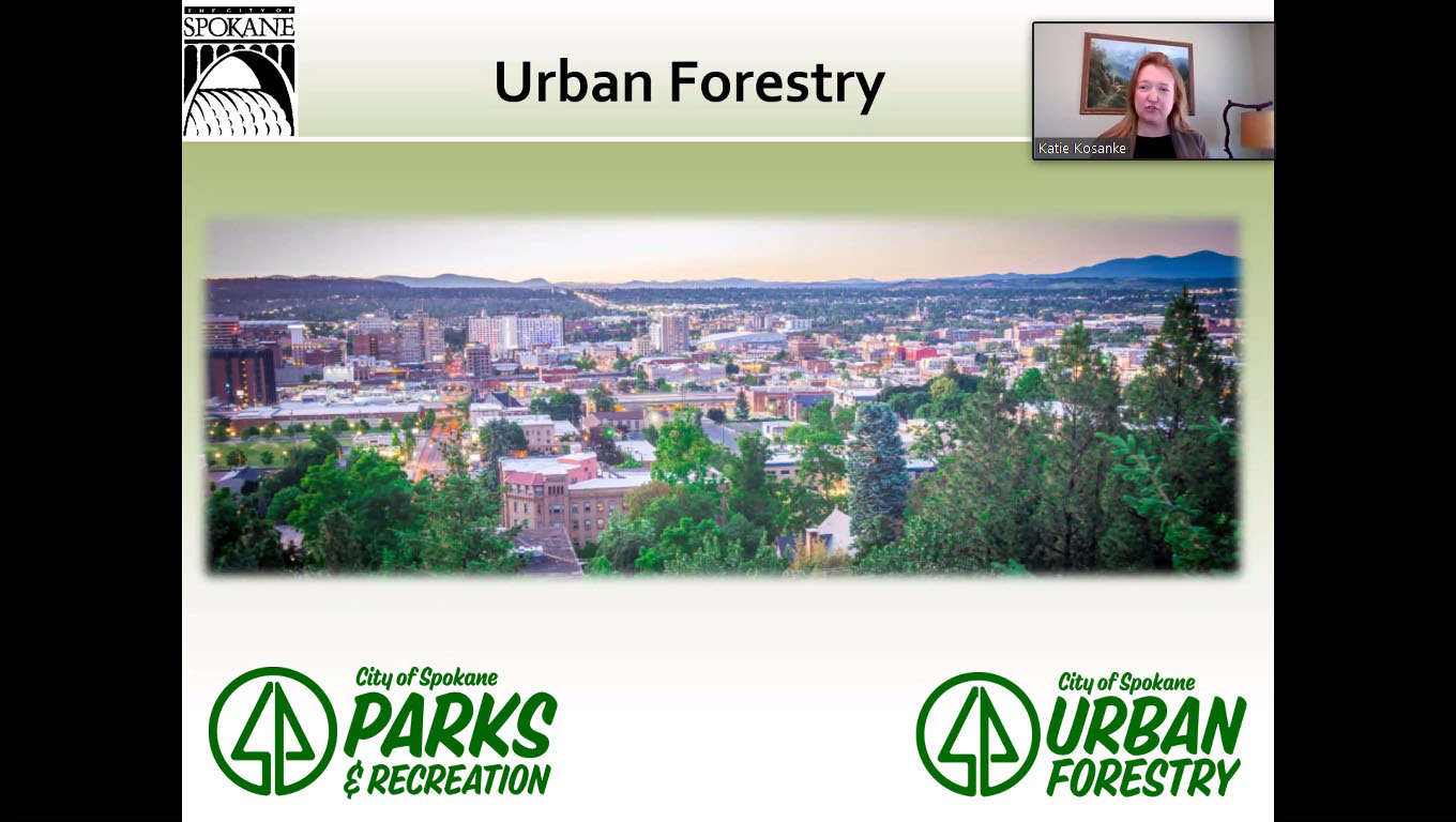 Solutions Oriented Learning Storylines: Urban Forestry writing workshop