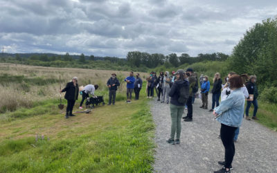 Solutions Oriented Learning Storylines: Wetlands at Billy Frank Jr. Nisqually National Wildlife Refuge