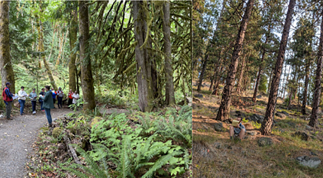 Festival of Trees Workshop Prepares Educators to Teach Forestry