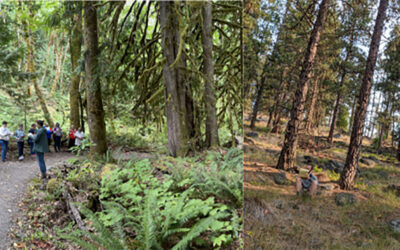 Festival of Trees Workshop Prepares Educators to Teach Forestry