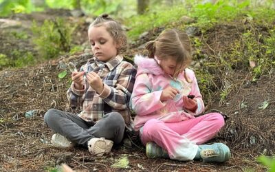 Nature-based learning in transitional kindergarten