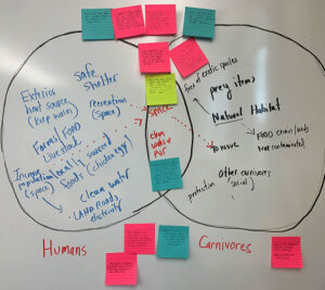 Modeling the needs of humans vs carnivores