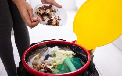 The Art of Food Waste