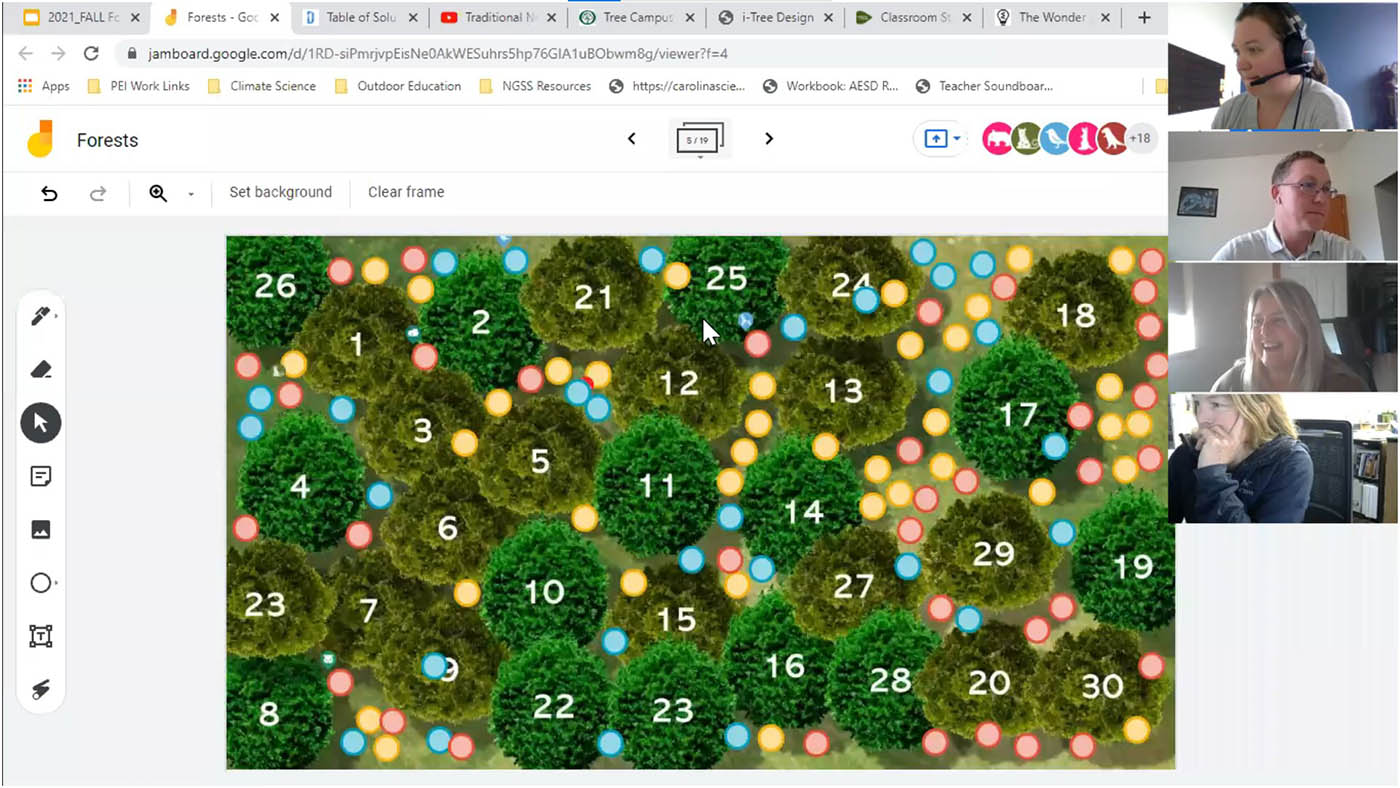 Solutions Oriented Learning Storylines: Forests with ESDs 105 and 171