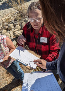 Teachers assessing fuel load with the landscape
