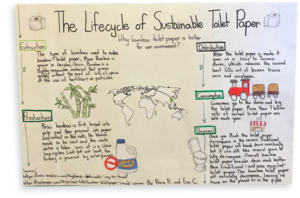 Life Cycle of Sustainable Toilet paper