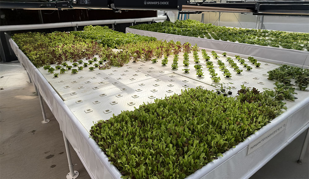 Growing the Future: Educators Dig into Native Plant Learning at Oroville Greenhouse