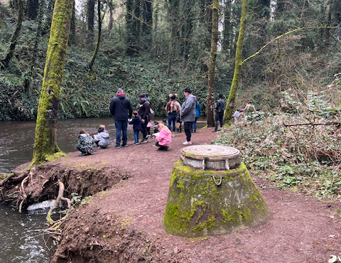Field trip at the creek, observing and drawing our findings.