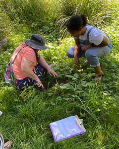 Participants collect and analyze soil samples as part of learning to characterize a wetland