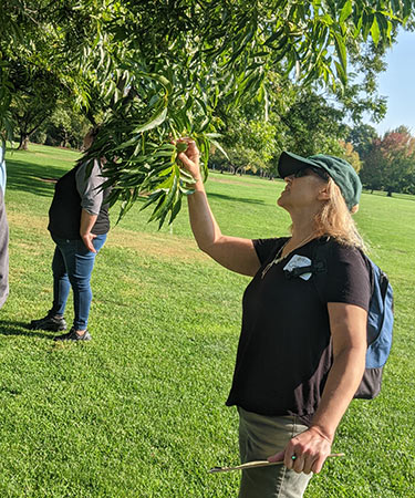 Teacher examining a leaf