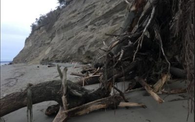 Solutions Oriented Learning Storylines: Coastal Hazards in Washington