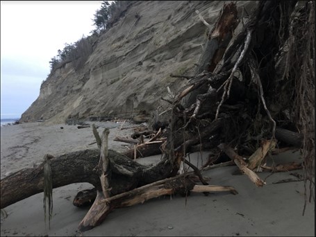 Solutions Oriented Learning Storylines: Coastal Hazards in Washington