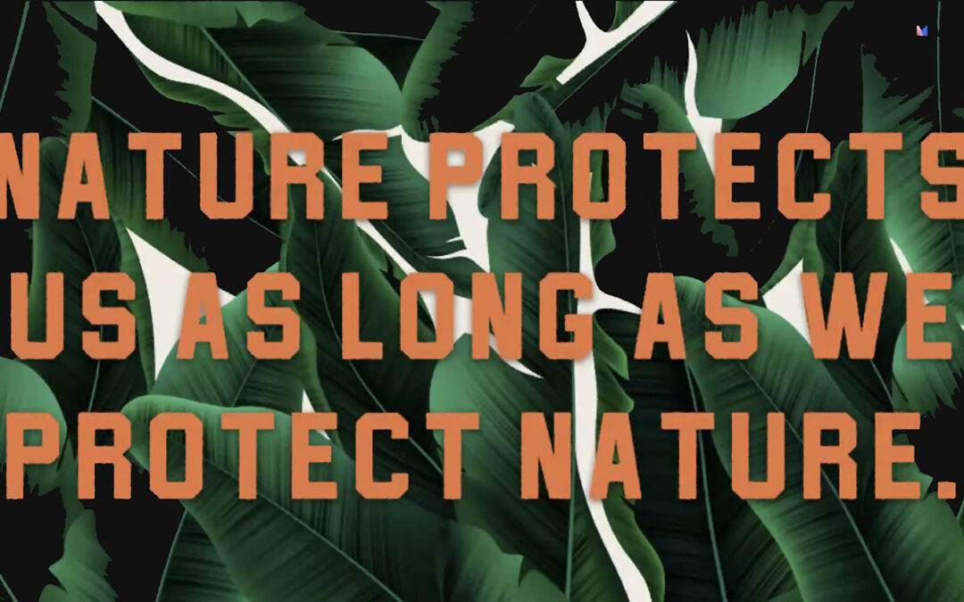 Nature Protects us as long as we protect nature