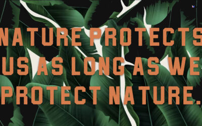 EarthGen Expands Climate Justice League Statewide