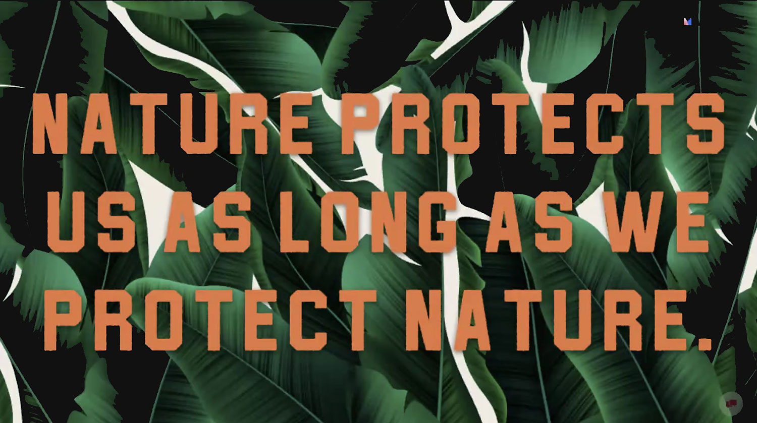 Nature Protects us as long as we protect nature