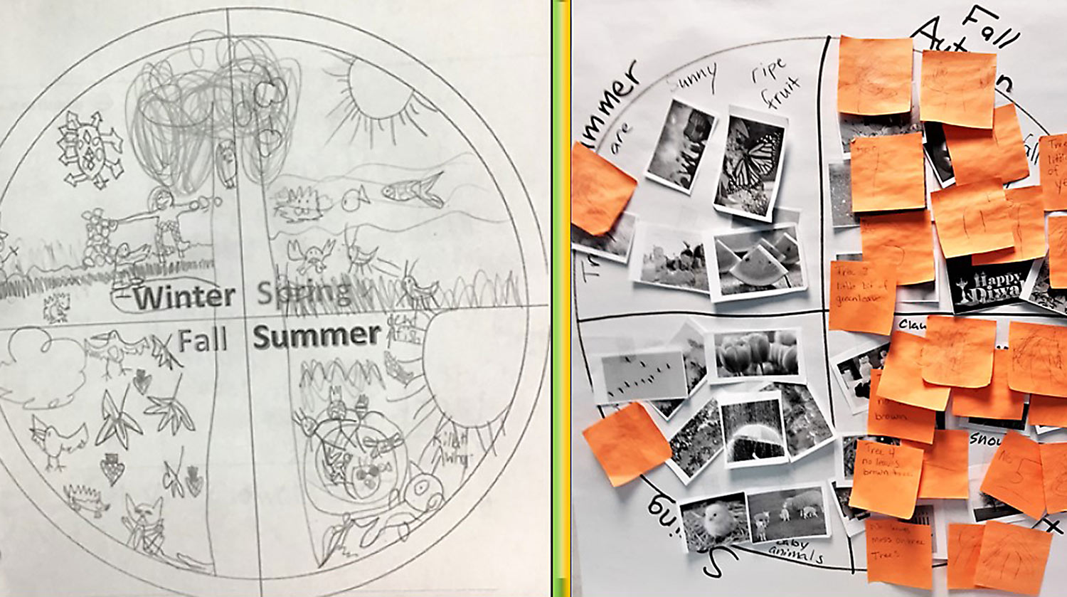 Phenology Wheel – Interactive Classroom Strategies