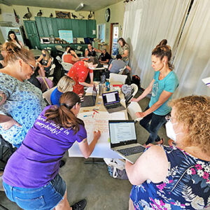 In grade-band groups, educators analyzed and evaluated the pre-and post-assessments included in each of the PEI Storylines.