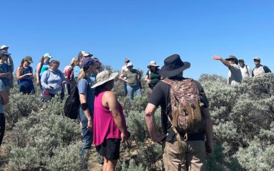 From Sagebrush to Classroom: Educators’ Hands-On Experience with EarthGen