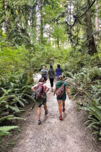 Teachers hike through the woods at IslandWood Bainbridge Campus