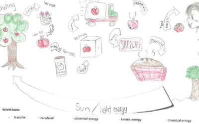 Students Get to the Heart of Climate Change Through Their Stomachs