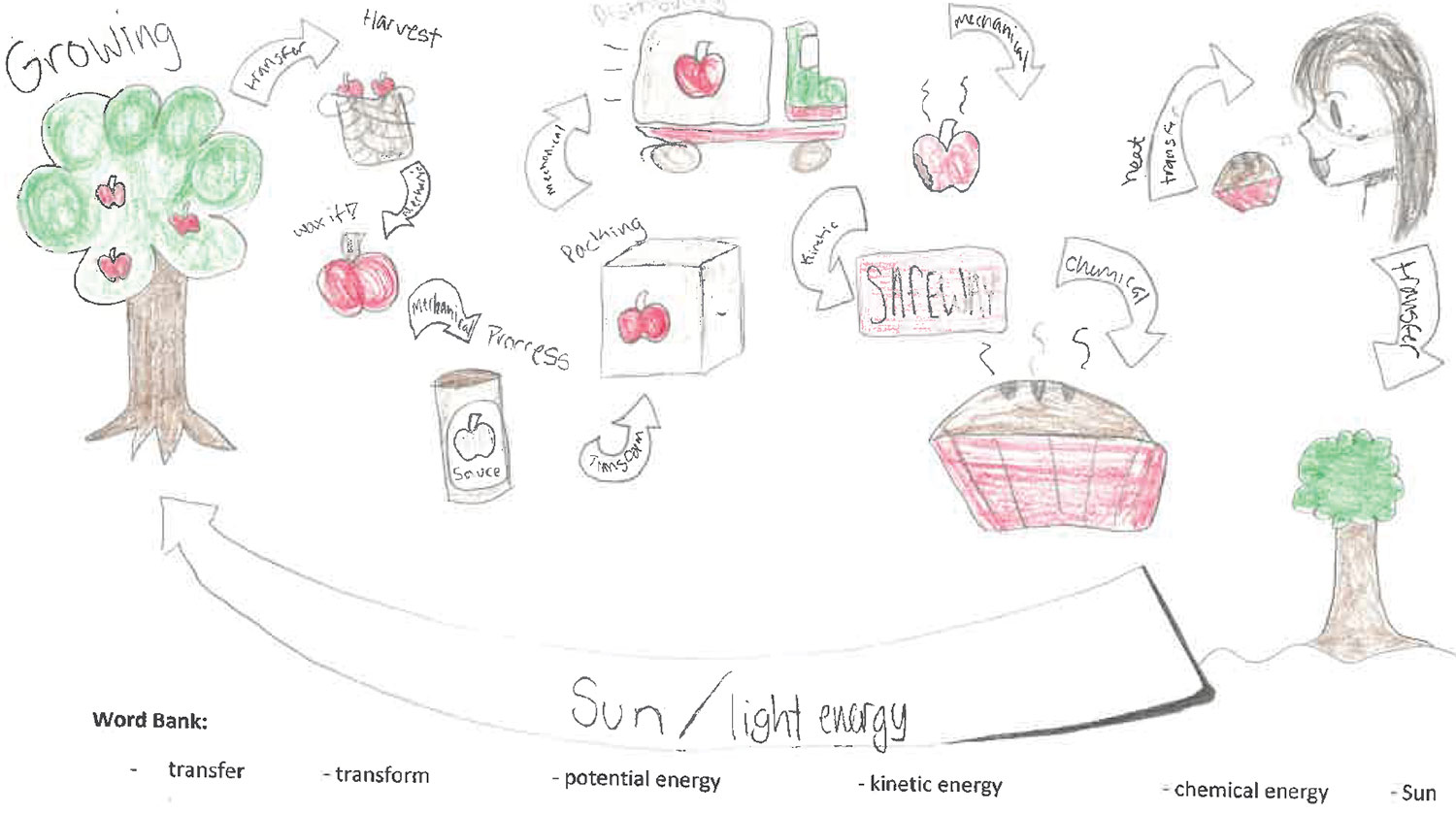Students Get to the Heart of Climate Change Through Their Stomachs