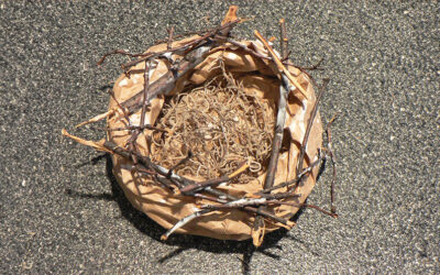 Making a Birds Nest From Items on the Playground