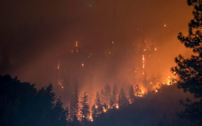 Wildfires in Western Washington