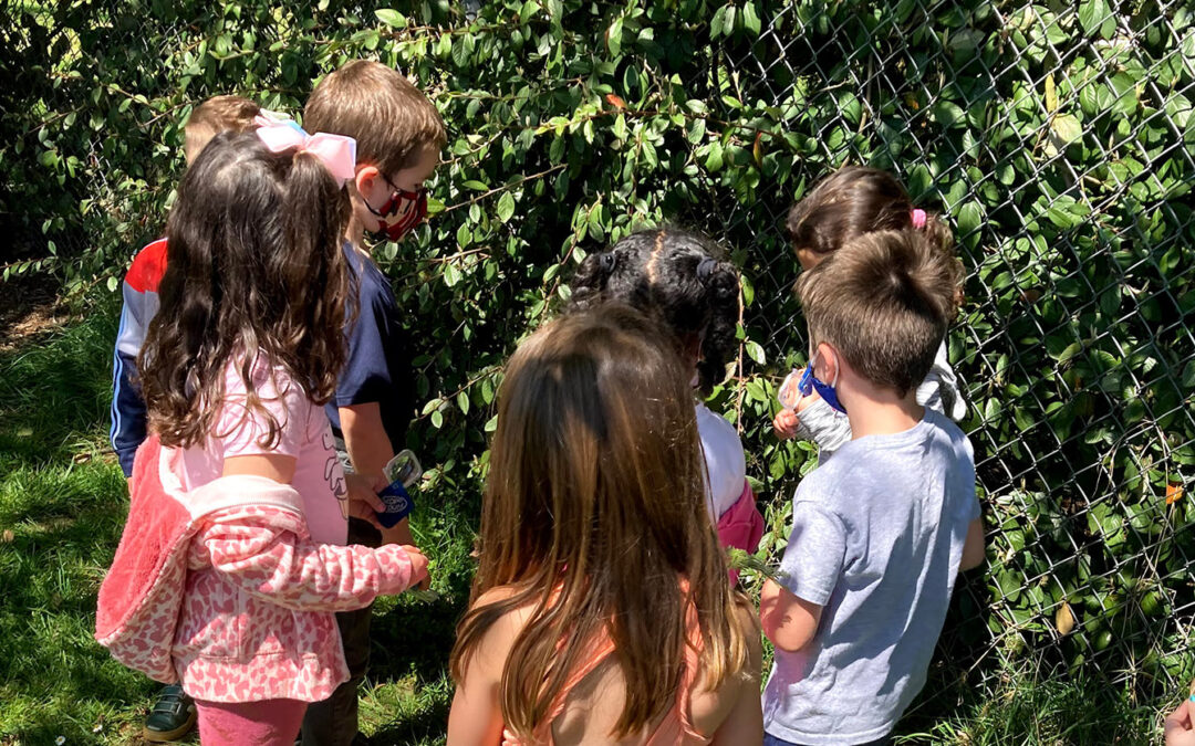 Kindergarten students at Cathcart Elementary learn about native plants on campus.