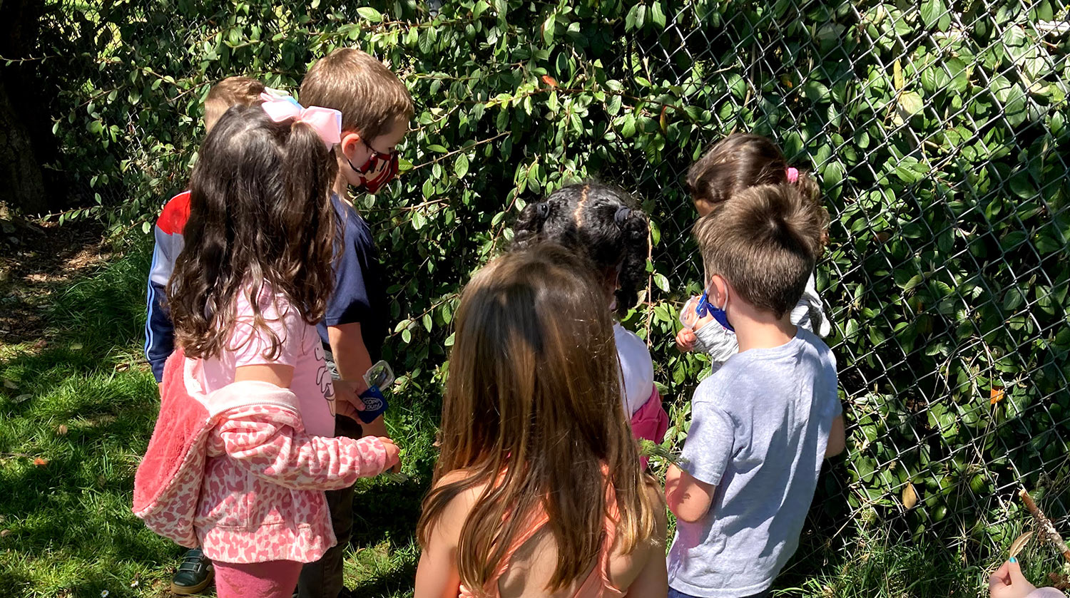 Kindergarten students at Cathcart Elementary learn about native plants on campus.