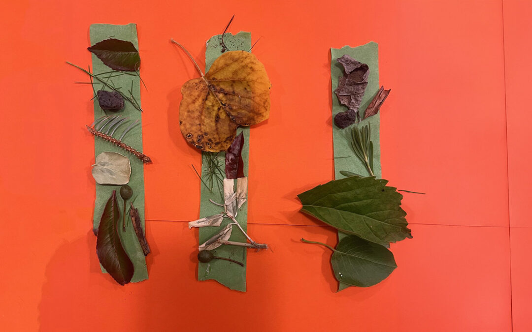 Climate Emotions and Creative Expressions Lesson with Nature Bracelet Activity