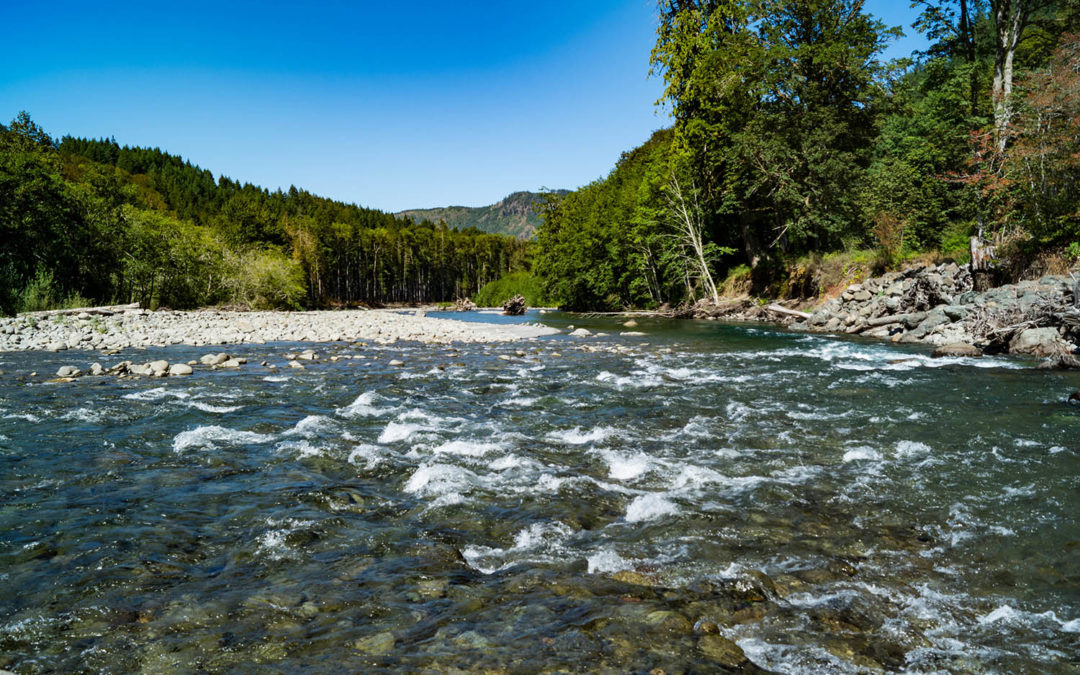 Washington River Erosion – Dam Removal Impact