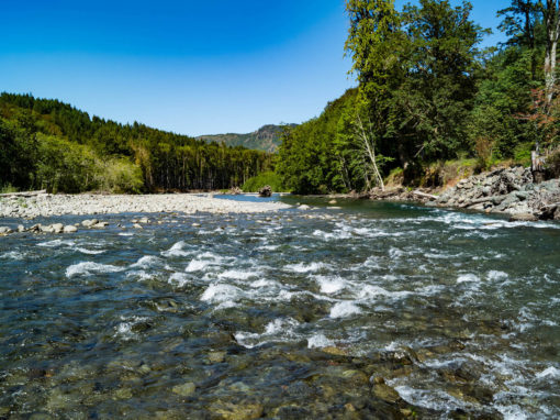 Washington River Erosion – Dam Removal Impact