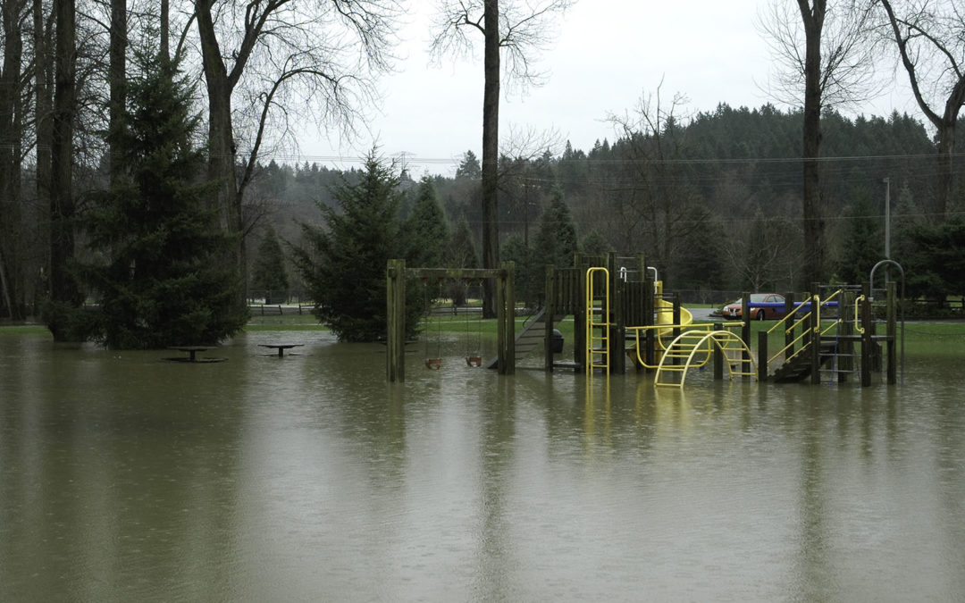 Flooded Playground – Designing Solutions to Flooding Problems