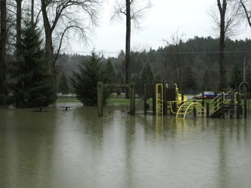 Flooded Playground – Designing Solutions to Flooding Problems