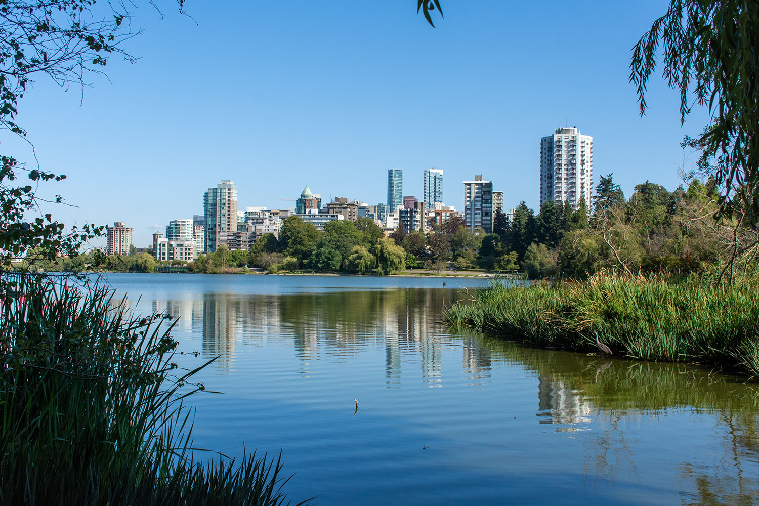 Lake Youngs – Sources of Taste and Odor Problems in Lake Youngs | ClimeTime