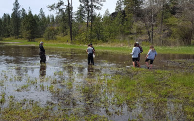 Exploring water quality in the classroom, the field and through games