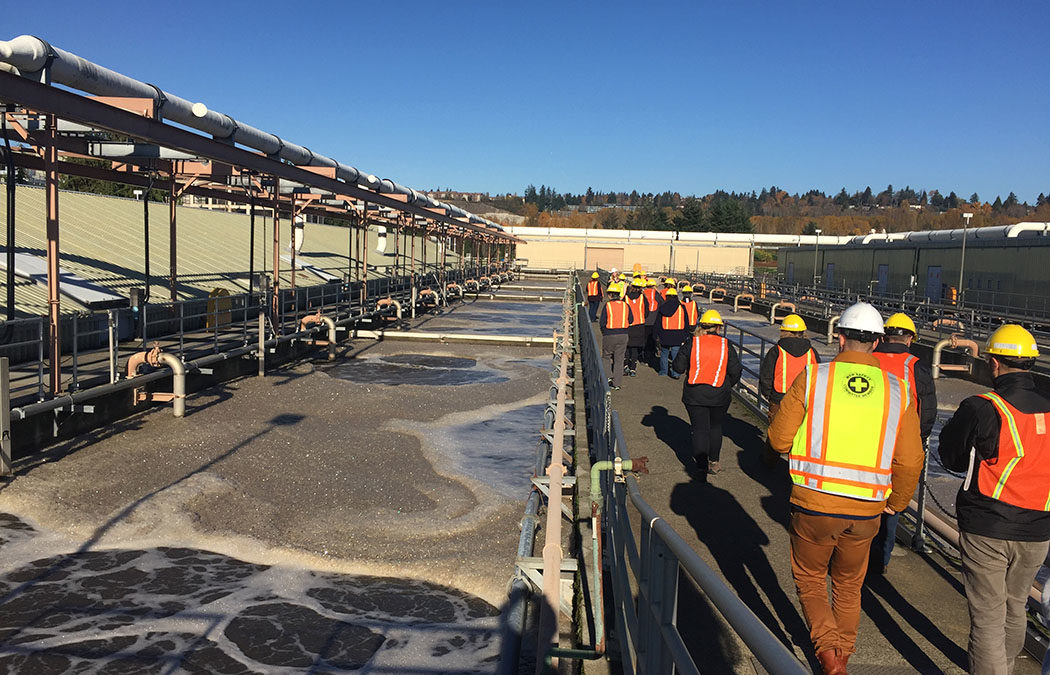 Understanding Urban Water Systems