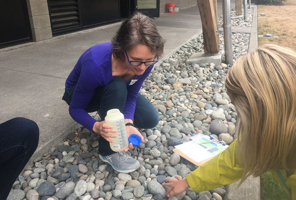 Science in your Schoolyard