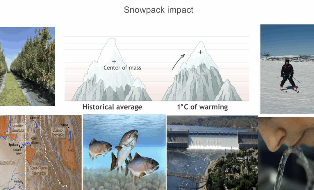 Snowpack Impact activities essays and projects