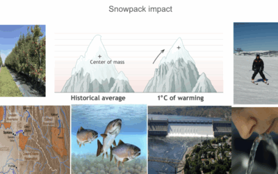 Snowpack Impact activities essays and projects