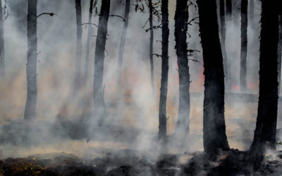 Wildfires in Eastern Washington