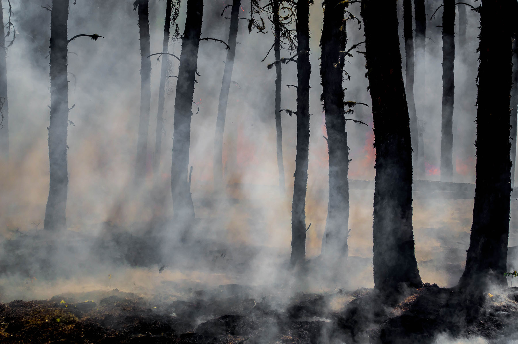 Wildfires in Eastern Washington